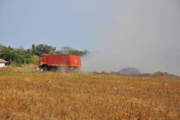 ISU Dobrogea: 